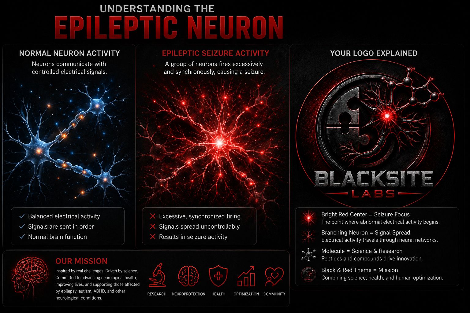 Understanding the epileptic neuron β normal neuron activity vs epileptic seizure activity, with the BLACKSITE LABS logo explained